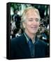 Alan Rickman-null-Framed Stretched Canvas