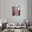 Alan Rickman-null-Photo displayed on a wall