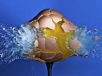 Eggceptional-Alan Sailer-Photographic Print