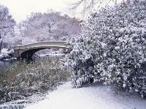 Snow at Bow Bridge in Central Park-Alan Schein-Photographic Print