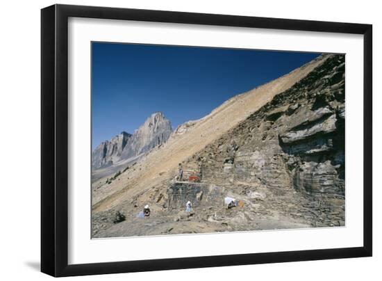 Premium Photographic Print, , large