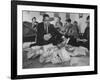 Alan Watts and Friends Reading Haiku Poems Sent to Haiku Contest-null-Framed Premium Photographic Print