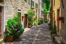 Italian Street in A Small Provincial Town of Tuscan-Alan64-Laminated Photographic Print