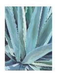 Agave with Coral-Alana Clumeck-Art Print