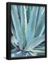 Essential Black