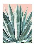 Agave with Coral-Alana Clumeck-Art Print