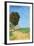 Alane Near Arles-Vincent van Gogh-Framed Art Print