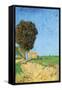 Alane Near Arles-Vincent van Gogh-Framed Stretched Canvas