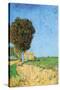 Alane Near Arles-Vincent van Gogh-Stretched Canvas