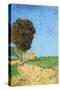 Alane Near Arles-Vincent van Gogh-Stretched Canvas