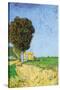 Alane Near Arles-Vincent van Gogh-Stretched Canvas