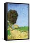 Alane Near Arles-Vincent van Gogh-Framed Stretched Canvas