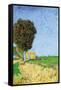 Alane Near Arles-Vincent van Gogh-Framed Stretched Canvas