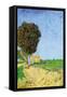 Alane Near Arles-Vincent van Gogh-Framed Stretched Canvas