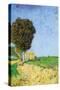 Alane Near Arles-Vincent van Gogh-Stretched Canvas