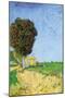 Alane Near Arles-Vincent van Gogh-Mounted Art Print