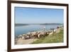 Alange, Badajoz, Extremadura, Spain, Europe-Michael Snell-Framed Photographic Print