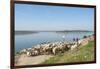 Alange, Badajoz, Extremadura, Spain, Europe-Michael Snell-Framed Photographic Print