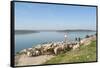 Alange, Badajoz, Extremadura, Spain, Europe-Michael Snell-Framed Stretched Canvas