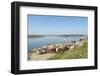 Alange, Badajoz, Extremadura, Spain, Europe-Michael Snell-Framed Photographic Print