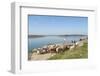 Alange, Badajoz, Extremadura, Spain, Europe-Michael Snell-Framed Photographic Print