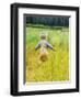 Alaska, 2 Year Old Child Playing in Tall Grass, Summertime-Savanah Stewart-Framed Photographic Print