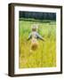 Alaska, 2 Year Old Child Playing in Tall Grass, Summertime-Savanah Stewart-Framed Photographic Print