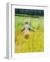 Alaska, 2 Year Old Child Playing in Tall Grass, Summertime-Savanah Stewart-Framed Photographic Print