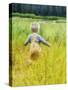 Alaska, 2 Year Old Child Playing in Tall Grass, Summertime-Savanah Stewart-Stretched Canvas