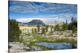 Alaska Basin Lakes, Caribou, Targhee National Forest, WYoming-Howie Garber-Stretched Canvas