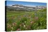 Alaska Basin Wildflower Meadow, Caribou -Targhee Nf, WYoming-Howie Garber-Stretched Canvas