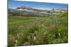 Alaska Basin Wildflower Meadow, Caribou -Targhee Nf, WYoming-Howie Garber-Mounted Photographic Print