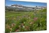 Alaska Basin Wildflower Meadow, Caribou -Targhee Nf, WYoming-Howie Garber-Mounted Photographic Print