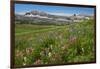 Alaska Basin Wildflower Meadow, Caribou -Targhee Nf, WYoming-Howie Garber-Framed Photographic Print