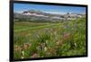 Alaska Basin Wildflower Meadow, Caribou -Targhee Nf, WYoming-Howie Garber-Framed Photographic Print