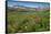 Alaska Basin Wildflower Meadow, Caribou -Targhee Nf, WYoming-Howie Garber-Framed Stretched Canvas