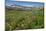 Alaska Basin Wildflower Meadow, Caribou -Targhee Nf, WYoming-Howie Garber-Mounted Photographic Print