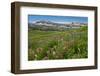 Alaska Basin Wildflower Meadow, Caribou -Targhee Nf, WYoming-Howie Garber-Framed Premium Photographic Print