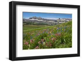 Alaska Basin Wildflower Meadow, Caribou -Targhee Nf, WYoming-Howie Garber-Framed Premium Photographic Print