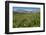 Alaska Basin Wildflower Meadow, Caribou -Targhee Nf, WYoming-Howie Garber-Framed Premium Photographic Print