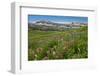 Alaska Basin Wildflower Meadow, Caribou -Targhee Nf, WYoming-Howie Garber-Framed Premium Photographic Print