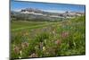 Alaska Basin Wildflower Meadow, Caribou -Targhee Nf, WYoming-Howie Garber-Mounted Premium Photographic Print