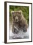 Alaska Bear-Art Wolfe-Framed Art Print