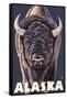 Alaska, Bison Up Close-Lantern Press-Framed Stretched Canvas