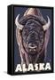 Alaska, Bison Up Close-Lantern Press-Framed Stretched Canvas