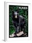 Alaska - Black Bear - Scratchboard-Lantern Press-Framed Art Print