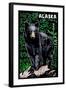 Alaska - Black Bear - Scratchboard-Lantern Press-Framed Art Print
