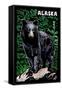 Alaska - Black Bear - Scratchboard-Lantern Press-Framed Stretched Canvas