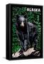 Alaska - Black Bear - Scratchboard-Lantern Press-Framed Stretched Canvas