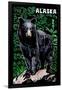 Alaska - Black Bear - Scratchboard-Lantern Press-Framed Art Print